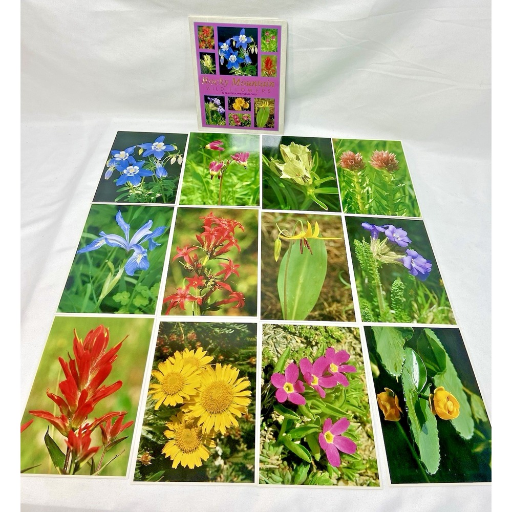 Rocky Mountain Wildflowers Unused Postcards Post Cards Lot ‎ 12 Junk Journal 90s
